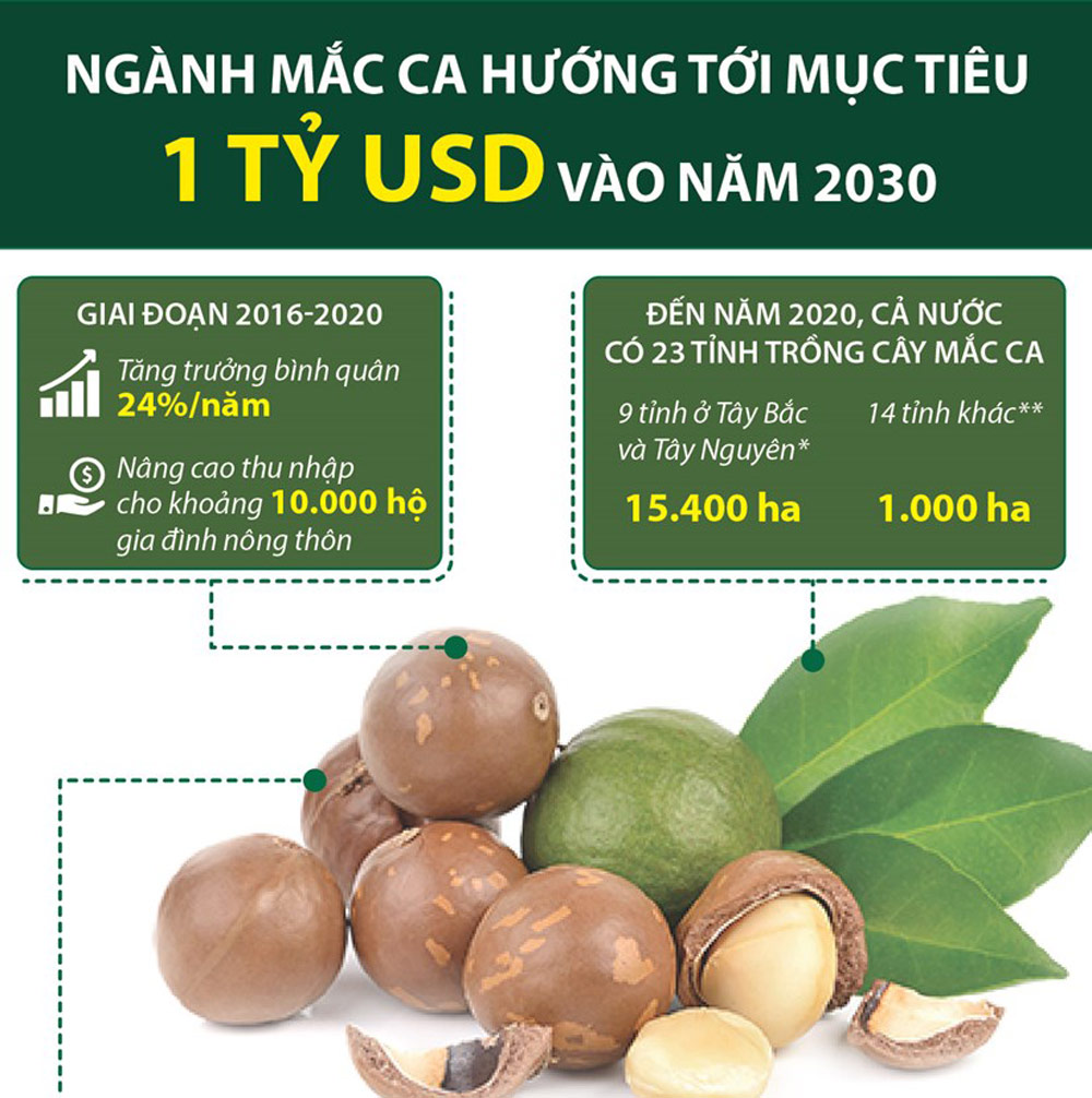 Infographics: Ngành mắc ca hướng tới mục tiêu 1 tỷ USD vào năm 2030