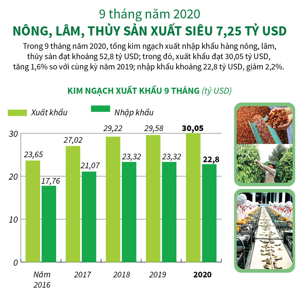 9 tháng năm 2020: Nông, lâm, thủy sản xuất siêu 7,25 tỷ USD