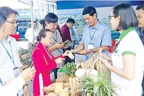 Cục Thuế Kiên Giang: Căng sức thu ngân sách “chặng nước rút”