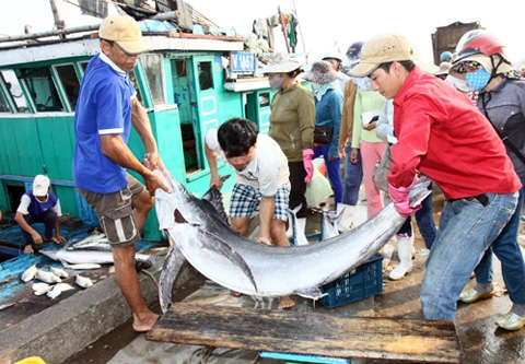 Miễn thuế môn bài với cá nhân nuôi trồng, đánh bắt thủy, hải sản
