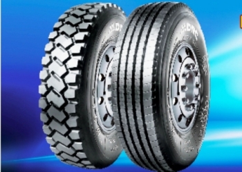 CSM tạm ứng cổ tức 15%