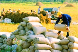 Nông sản Việt sẽ đứng đâu trong ASEAN?