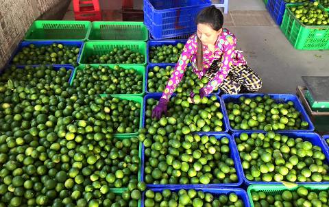 Đặc sặc vùng miền loay hoay tìm ‘lối ra’