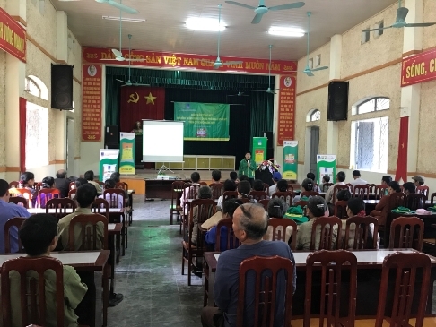 Sử dụng phân bón Phú Mỹ, cây chuối cho lợi nhuận 154 triệu/ha