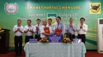 Nhà nông đang mong đợi