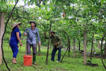 Chanh leo Sơn La lần đầu tiên sang Pháp