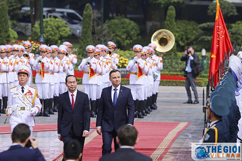 Tuyên bố chung Việt Nam