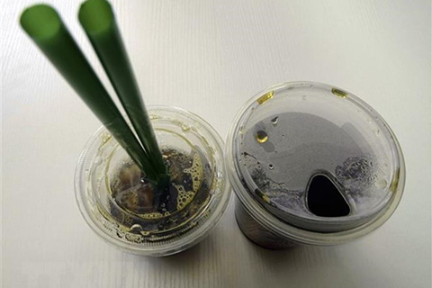 Hàn Quốc: Starbucks loại bỏ ống hút nhựa khỏi các cửa hàng