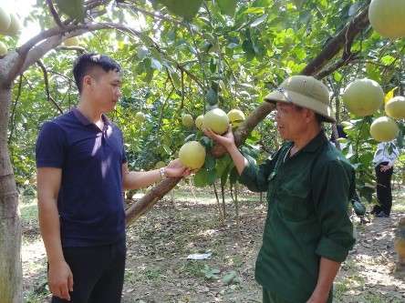 tuyen quang nong dan luc mun thoat ngheo nho duoc hoc nghe