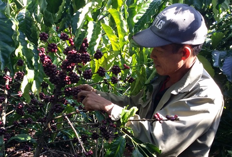 Rất cần những gói bảo hiểm tự nguyện ngắn hạn, linh hoạt