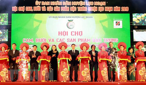 Khai mạc Hội chợ cam, bưởi và các sản phẩm đặc trưng Lục Ngạn