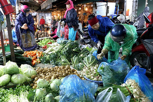 C&aacute;c loại rau xanh tr&ecirc;n địa b&agrave;n TP. Đ&agrave; Nẵng tăng gi&aacute; sau mưa b&atilde;o.
