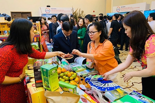 TP. Hồ Chí Minh liên kết hợp tác du lịch với 8 tỉnh Tây Bắc mở rộng