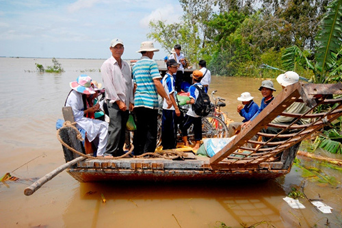 Mùa hoa không đi qua