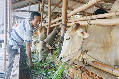 Tập trung nguồn lực cho giảm nghèo bền vững