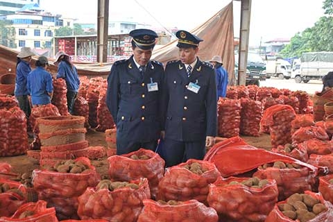 khan truong cu the hoa de an kiem tra chuyen nganh