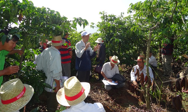 Thu nhập của nông dân Tây Nguyên đang tăng lên mạnh mẽ