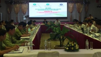 Năm 2017 sẽ ứng dụng công nghệ GIS theo dõi diễn biến rừng trên cả nước