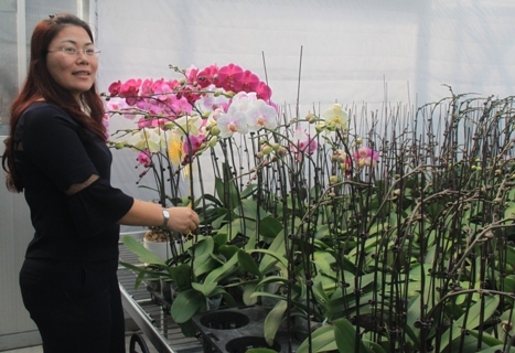 Agribank Hà Tây trợ lực cho nông nghiệp Thủ đô phát triển