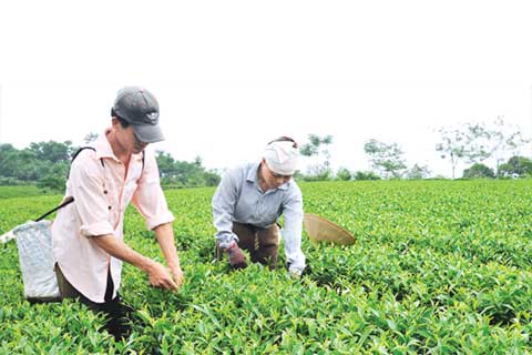 Cần đổi mới tư duy trong tiến trình cổ phần hóa, thoái vốn