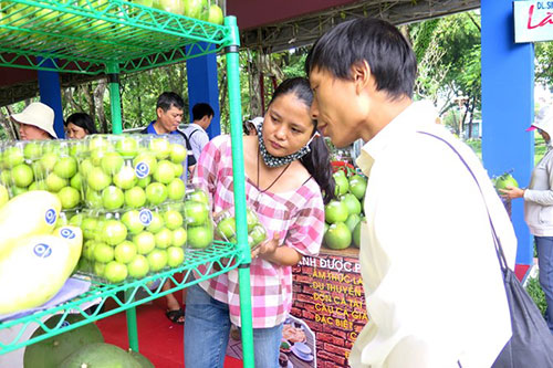 Hà Nội gắn biển nhận diện các cửa hàng kinh doanh trái cây an toàn