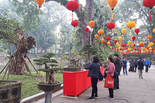 Hơn 1.000 tác phẩm cây cảnh nghệ thuật góp mặt tại Công viên Bách Thảo