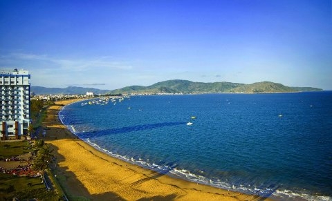 Đấu giá thành công 100% cổ phần của Công ty Môi trường đô thị Quy Nhơn