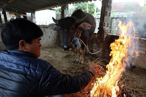 Rét đậm, rét hại tại Bắc Bộ có khả năng kéo dài đến cuối tuần