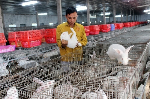 duoc dao tao nghe nong dan phu tho yen tam lam giau