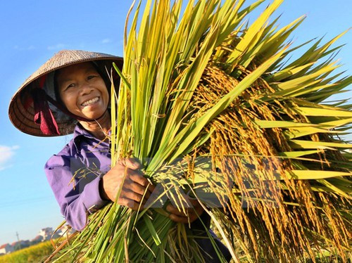 Thủ tướng sẽ đối thoại với nông dân về liên kết kiến tạo chuỗi giá trị nông sản