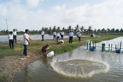 ca mau huong toi day nghe nong nghiep trong diem