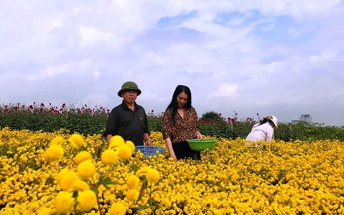 Ngành Nông nghiệp hỗ trợ doanh nghiệp và kinh tế hợp tác phát triển