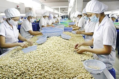 Bình Phước: 11/17 khoản thu đạt từ 91% dự toán sau điều chỉnh