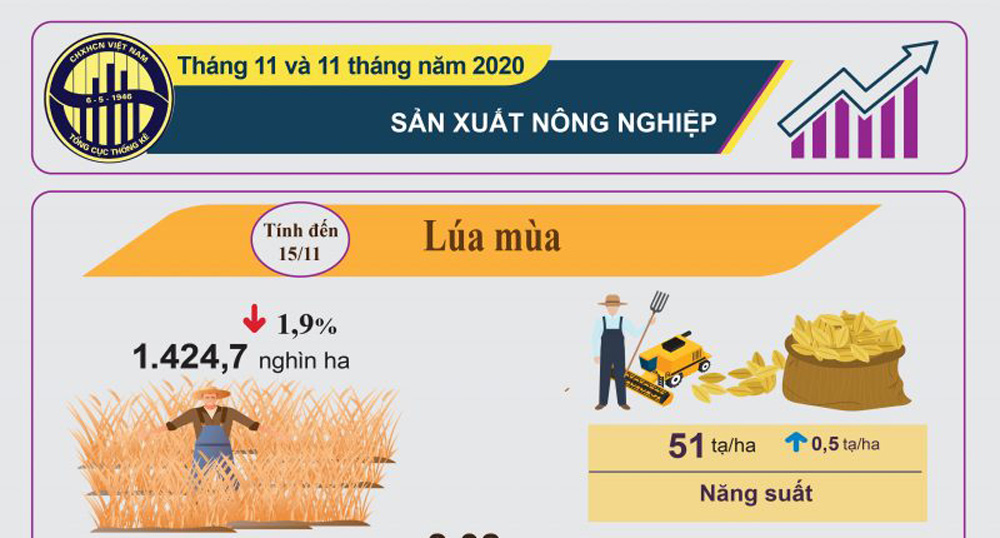 Infographics: Sản xuất nông nghiệp tháng 11 và 11 tháng năm 2020