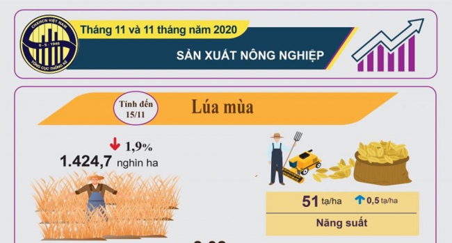 infographics san xuat nong nghiep thang 11 va 11 thang nam 2020