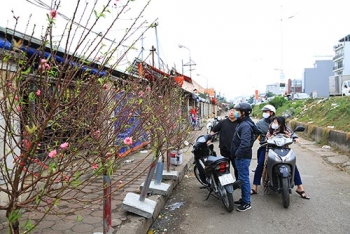 Chùm ảnh không khí Tết đang ùa về trên đường phố Hà Nội