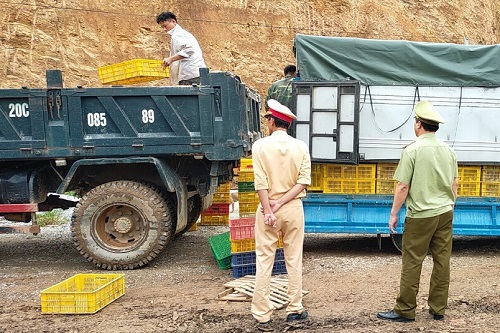 Cao Bằng: Thu nộp ngân sách nhà nước gần 15,2 tỷ đồng từ xử lý vi phạm