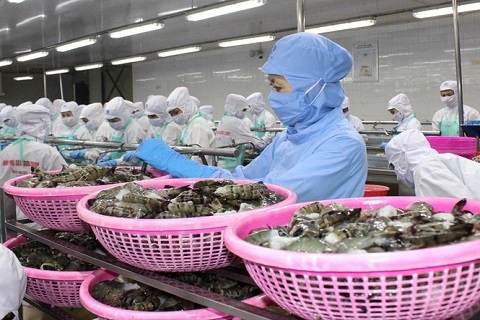 Xuất khẩu Hàn Quốc: Nhiều rủi ro nếu không tuân thủ vệ sinh an toàn thực phẩm