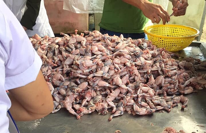 EU cảnh báo 2 sản phẩm nông sản Việt Nam chứa chất cấm