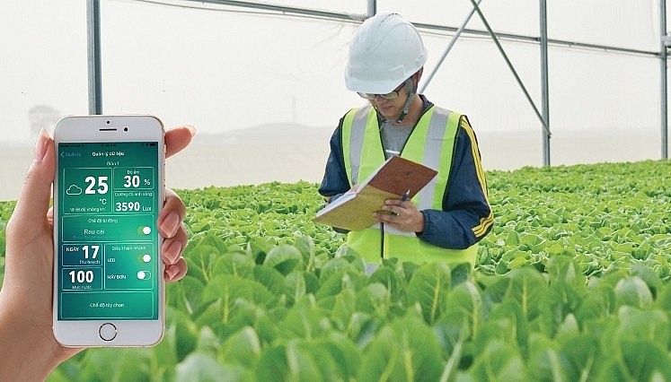 Ứng dụng công nghệ trong nông nghiệp thu lợi lớn
