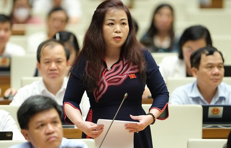 “Tính an toàn của sản phẩm nông nghiệp là sự phiền muộn chưa bao giờ nguôi”