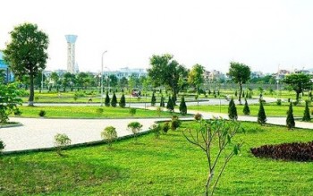 Quy định chế độ quản lý, báo cáo tài sản kết cấu hạ tầng công viên, cây xanh