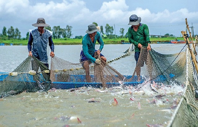 Phí thẩm định cấp giấy chứng nhận vật tư thủy sản 470.000 đồng/lần/sản phẩm