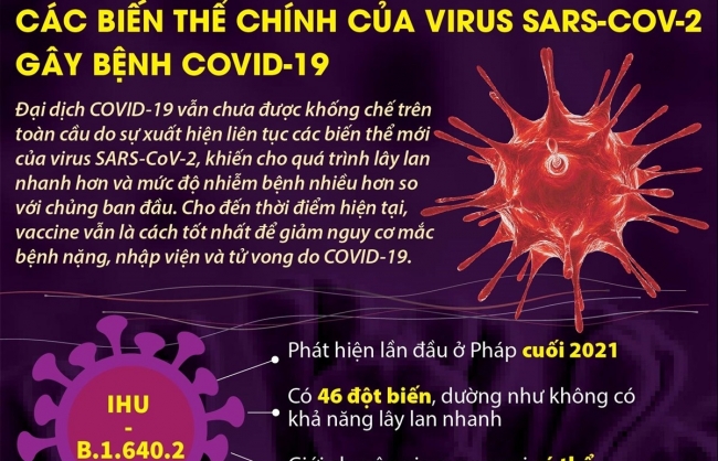 Các biến thể chính của virus SARS-CoV-2 gây bệnh COVID-19