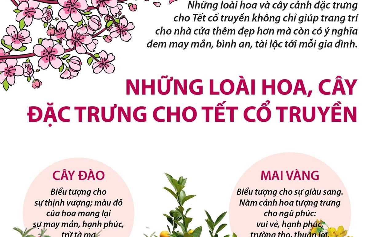 Những loài hoa, cây đặc trưng cho Tết cổ truyền