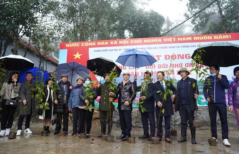 Hà Nội: Trồng 100.000 cây gỗ quý tại Vườn Quốc gia Ba Vì