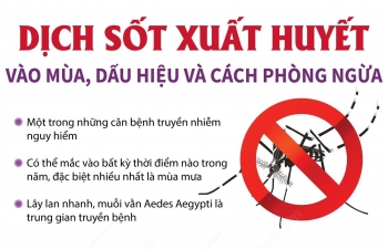 Dịch sốt xuất huyết vào mùa, dấu hiệu và cách phòng ngừa