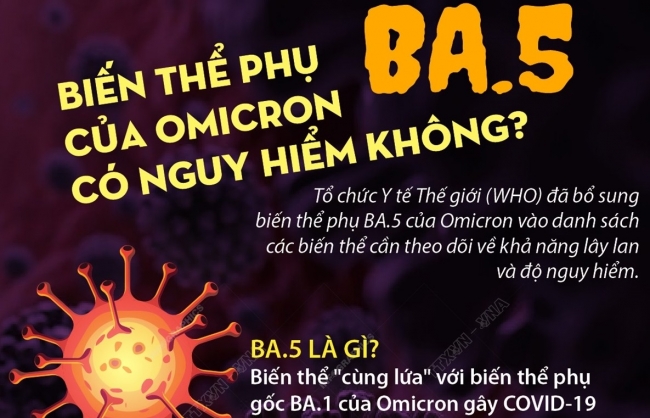 Biến thể phụ BA.5 của Omicron có nguy hiểm không?