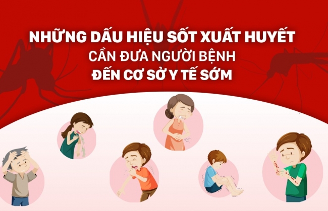 Sốt xuất huyết: Thấy 6 dấu hiệu này, đưa người bệnh đến cơ sở y tế gấp