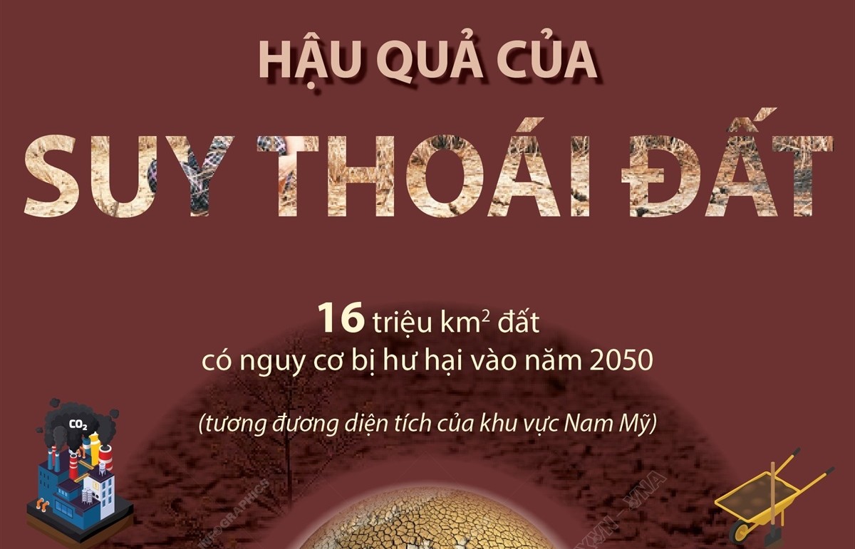 Hậu quả của suy thoái đất